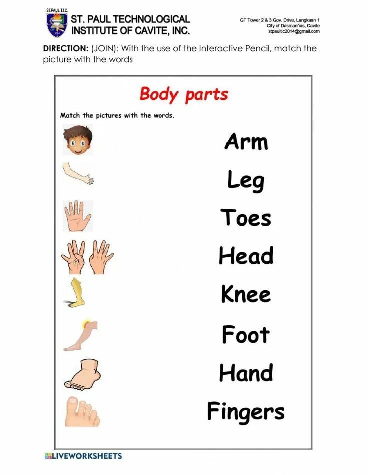 This is my body. Части тела Worksheets for Kids. Body Parts matching. Body Parts for Kids. Части тела на английском Worksheets.