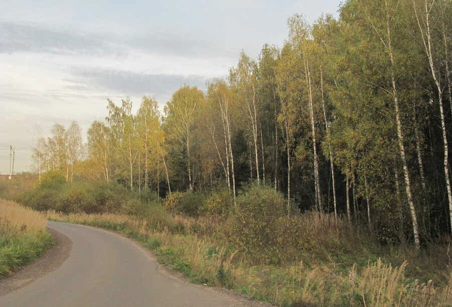 В поселке некрасовский в дмитровском. Посёлок Некрасовский Дмитровского района. Некрасовский поселок Дмитровское шоссе. МО поселок Некрасовский. Некрасовское Московская область Дмитровский район.