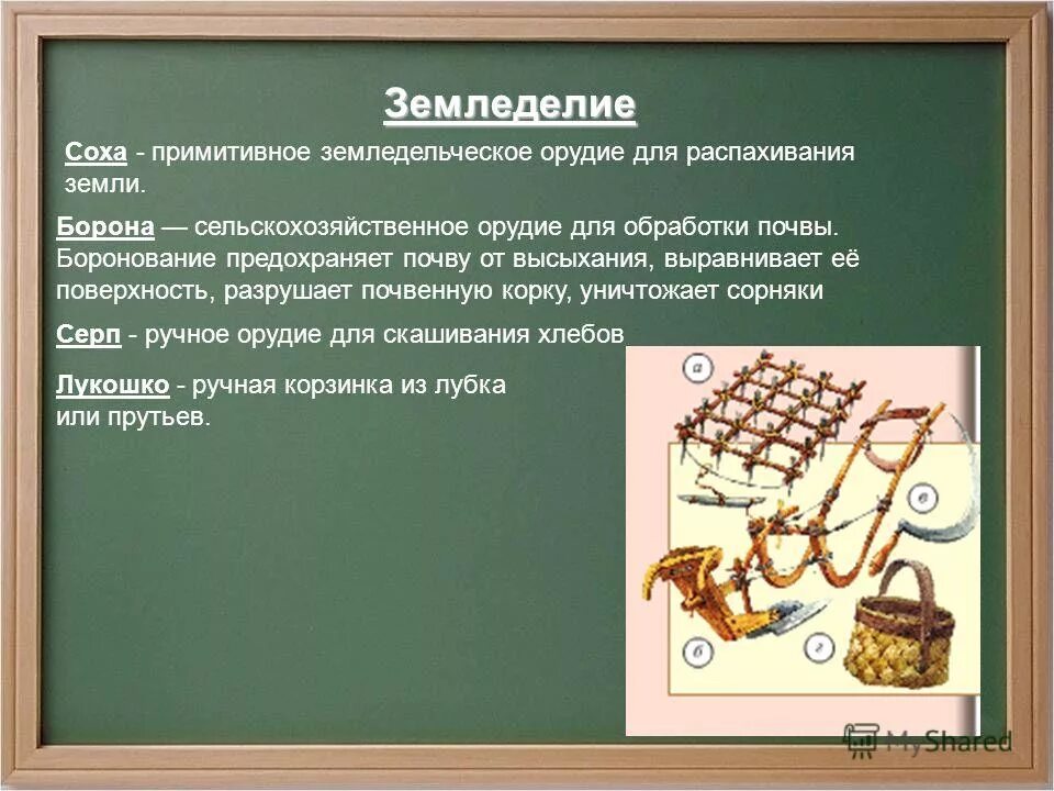 расскажите об основных земледельческих работах