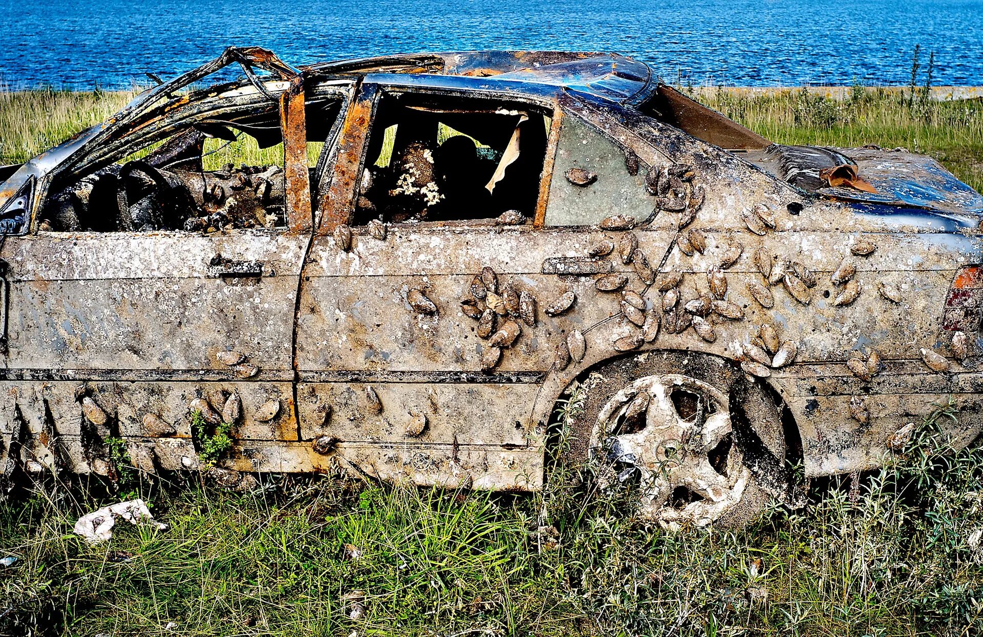 Брошенные авто. Старые заброшенные автомобили. Свалка машин. Ржавая машина.