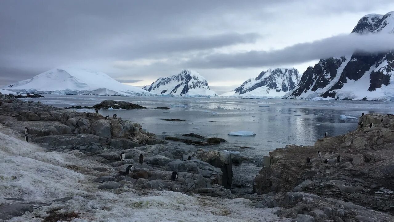 основание антарктиды. основание антарктиды. кладбище в антарктиде. петерманн антарктида. антарктида (материк).