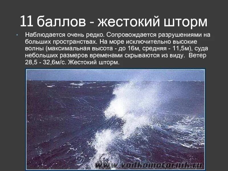 Шторм 11 баллов высота волны. Шторм 5 баллов высота волны. Шторм в баллах высота. Шторм 6 баллов высота волны. Отменить в виду шторма