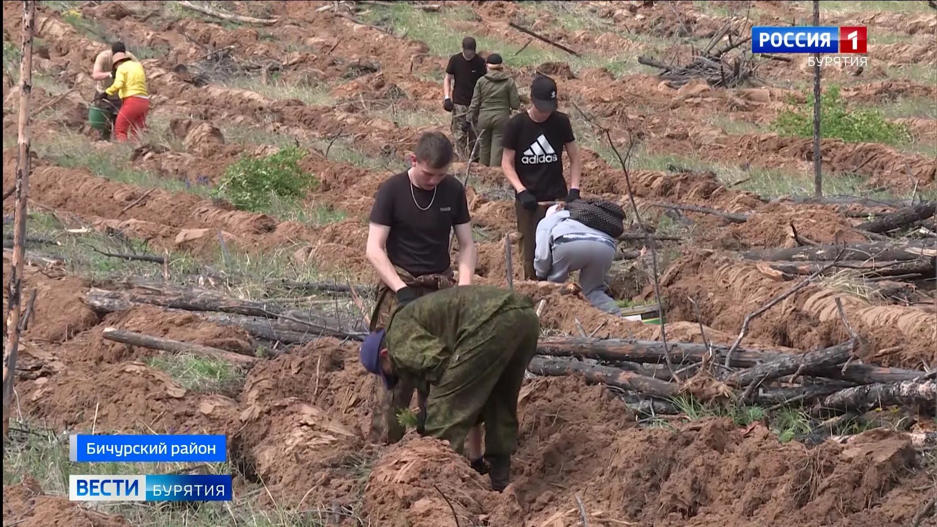 Стивен сигал в бурятии. Леонид потапов бурятия. Шумаф байбеков. С днем бурятии. Площадь бурятии и киргизии.