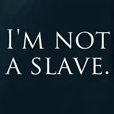 Novit enim dominus qui sunt eius. Caedite eos. Caedite eos. Novit enim dominus. Blood castle.