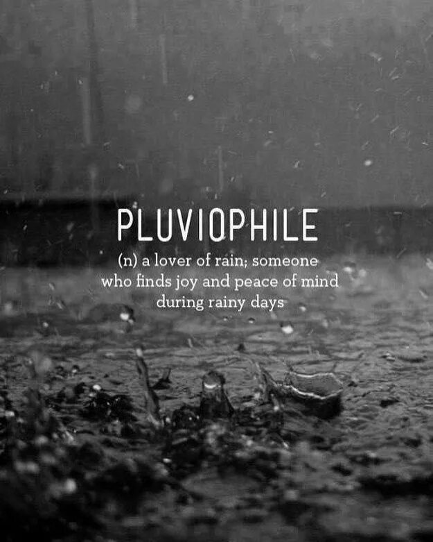 They like rain. Pluviophile игра. Петрикор. Петрикор Эстетика. Цитаты про дождь.