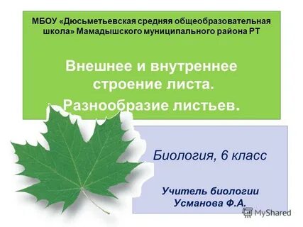 Лист с вопросами 6