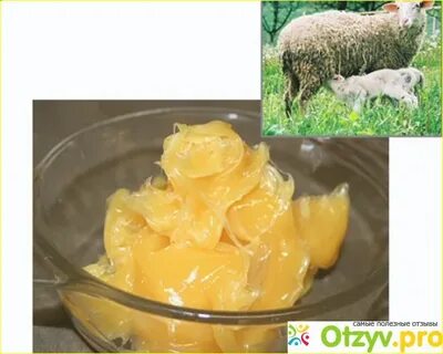 Животный воск 7