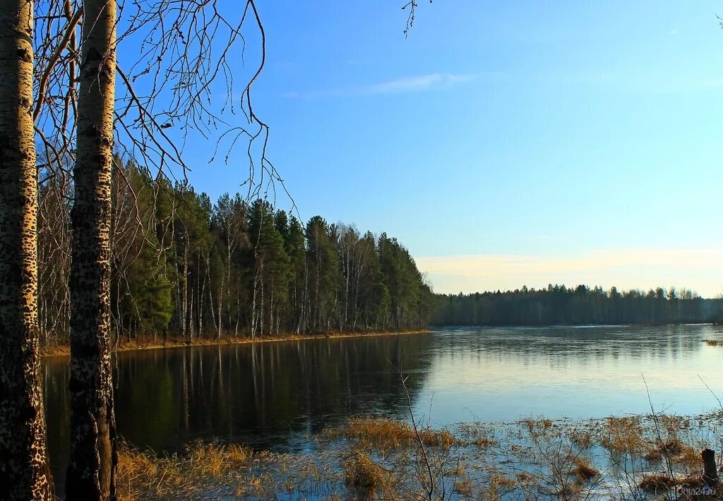 озера коми края. синдорское озеро республика коми. озеро синдор коми. озеро дон ты усть-куломский район. озера коми края.
