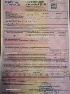 Страховой полис на сколько лет