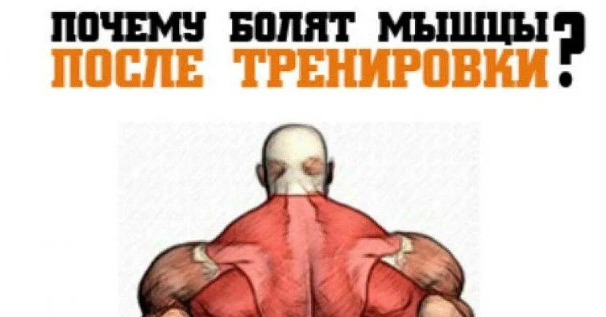 Боли в мышцах после тренировки почему. Болят мышцы после тренировки. Мышцы после тренировки. Болят мускулы после тренировки. После упражнений болят мышцы.