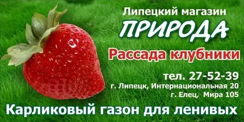 Липецкий магазин