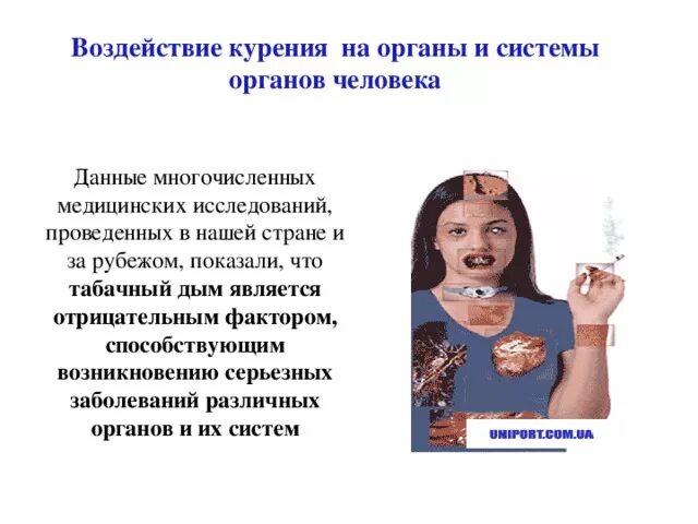Влияние табачного дыма на рост организма проект Влияние на организм употребления алкогольных напитков и курения