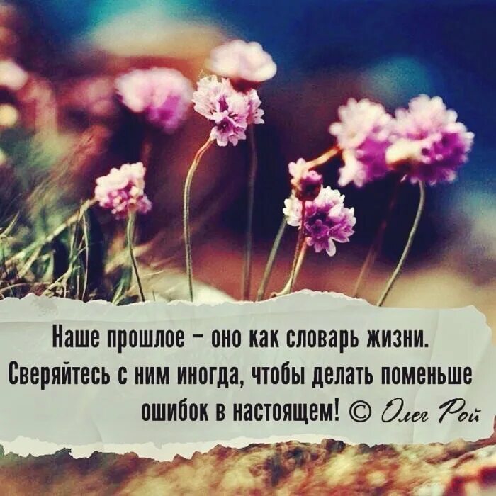 Идея цитаты. Мысли вслух о жизни. мысли вслух цитаты. мысли в слух высказывания. мысли вслух цитаты о жизни.