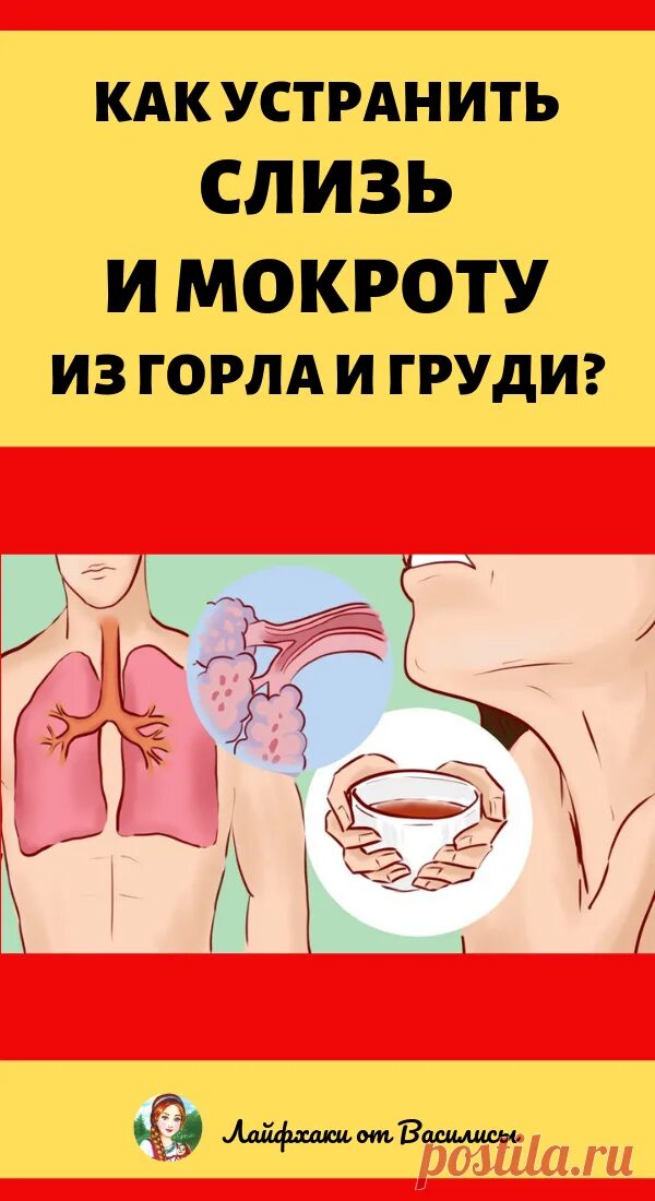 Как убрать мокроту из горла. Устраняем слизь и мокроту в горле. Как устранить слизь, мокроту из горла и груди. Как избавиться от мокроты.