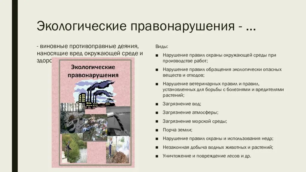 Виды экологических правонарушений. Экологические преступления примеры. Виды экологических правонарушений и преступлений. Виды экологических правонарушений примеры.