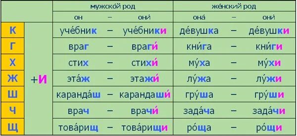 Женского рода книга. Правило образования множественного числа в русском языке. Множественное число в русском языке правило. Мн число существительных в русском. Множественное число существительных в русском языке.