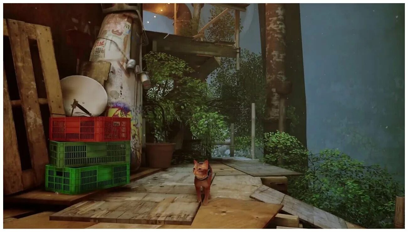 Stray cat игра. Stray пс5. Stray 2022. Stray ps5 диск. Stray ps5.