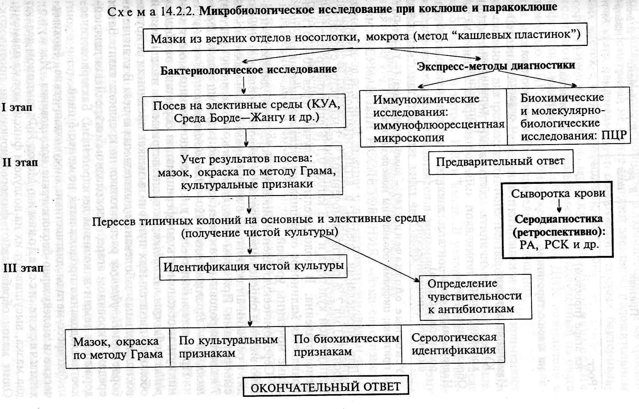 Схема лабораторной диагностики коклюша. Микробиологическая диагностика коклюша и паракоклюша. Микробиологическое исследование при коклюше. Микробиологическое исследование при коклюше и паракоклюше.