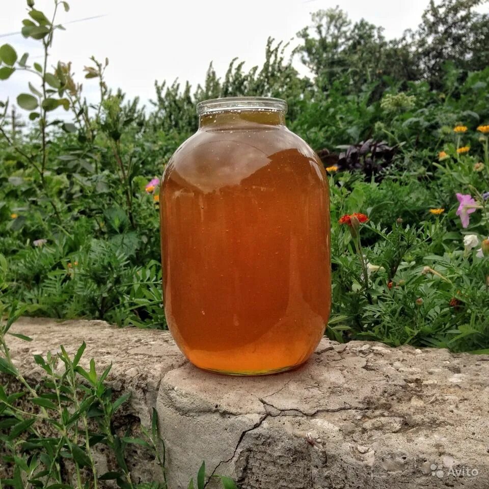 Мёд кориандровый. Кориандровый мед цвет. Мед из кориандра. Мед кориандр