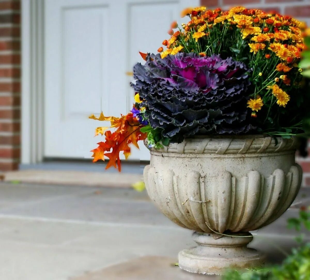 Уличные вазоны с цветами. Цветочные композиции в вазонах. Что посадить в вазоны. Что посадить в вазоны. Растения в вазонах.