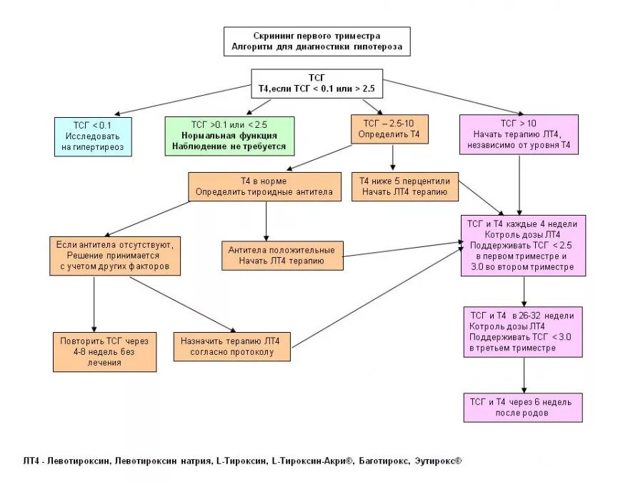 Алгоритм диагностики гипотиреоза схема. Алгоритм проведения неонатального скрининга. Алгоритм диагностического поиска при синдроме тиреотоксикоза. Алгоритм неонатального скрининга на врожденный гипотиреоз. Скрининг на гипотиреоз