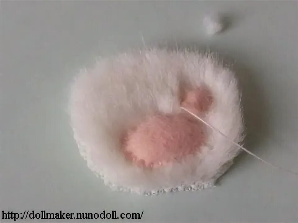 Как зашить кота