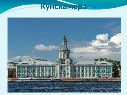 Музей кунсткамера история