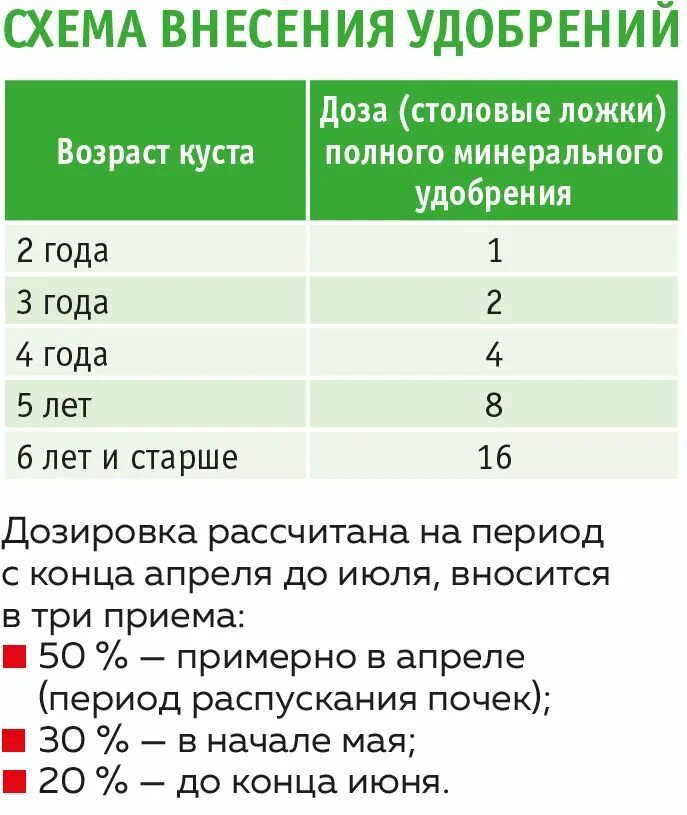 Сколько надо удобрения. Таблица подкормок голубики. Схема подкормки садовой голубики. Схема удобрений голубики.