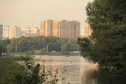 Тимирязевский р