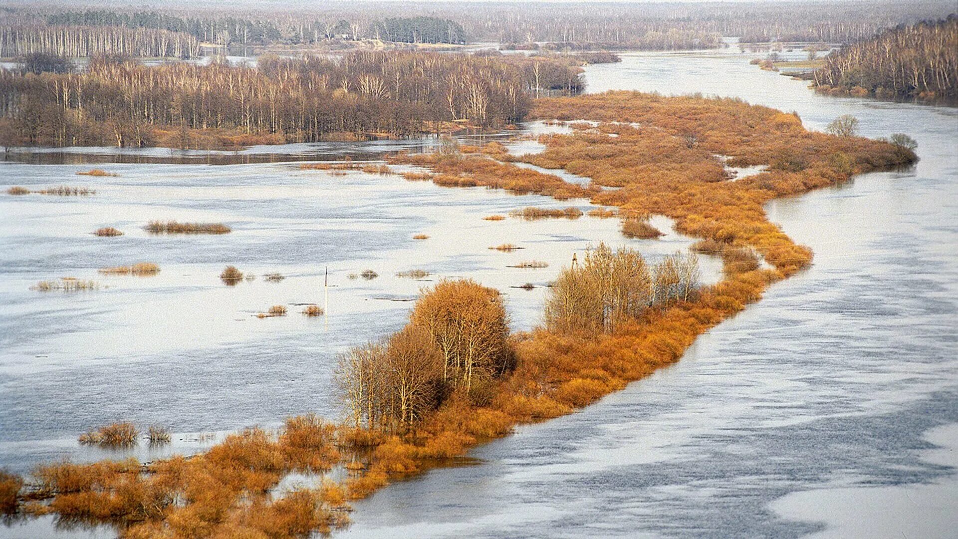 Подъем воды в клязьме. Река Клязьма. Разлив Клязьмы. Реки Подмосковья. Май река.