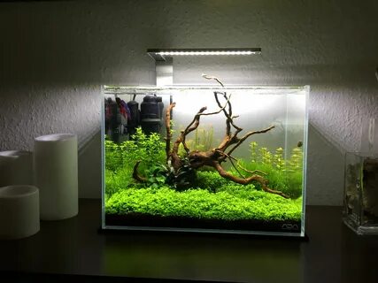 Ada mini