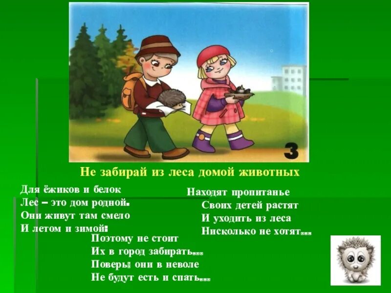 Они домой