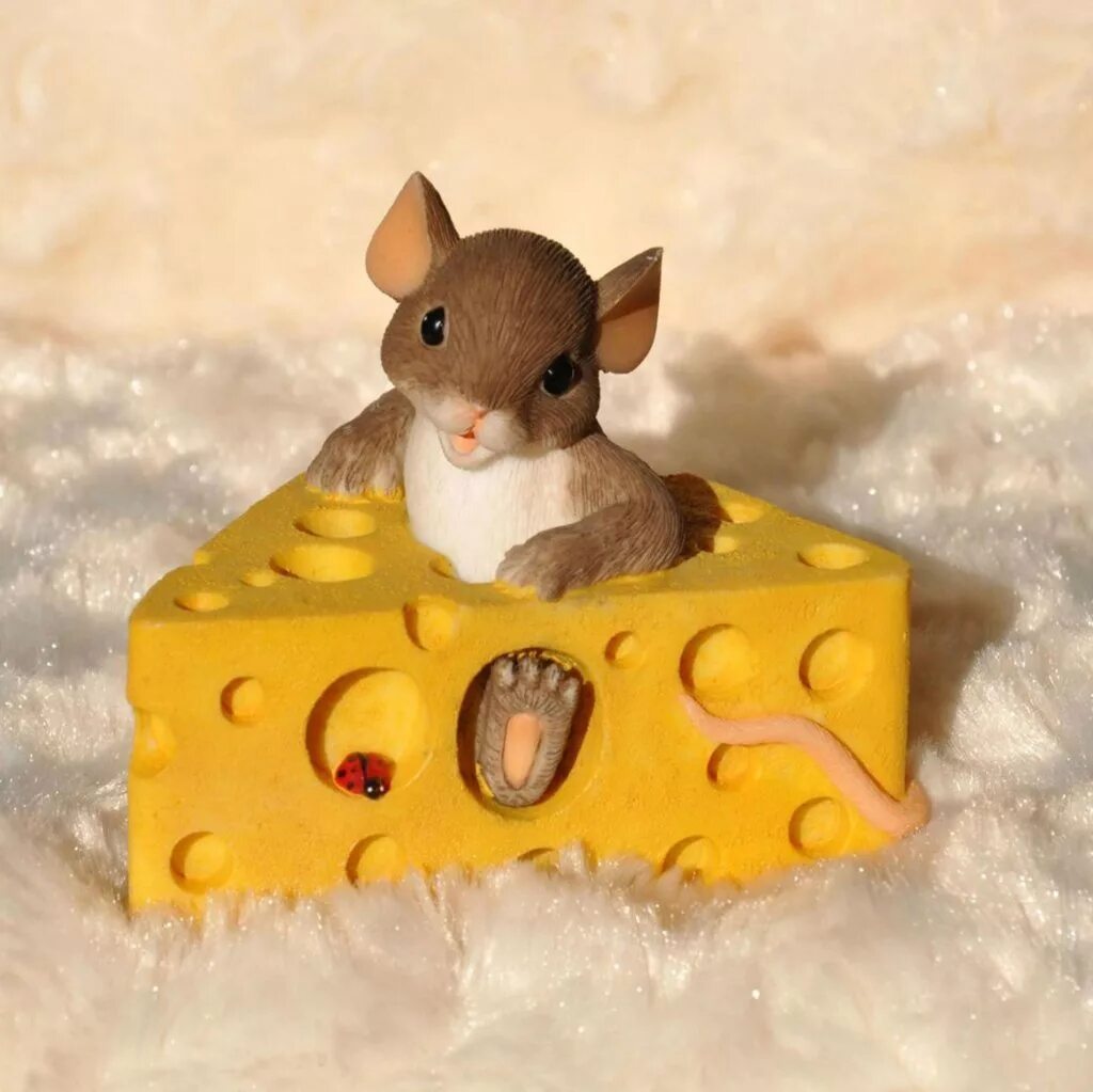 мышка с сыром. мышиный сыр. мышка в сыре. маша сыр. мышка в сыре.