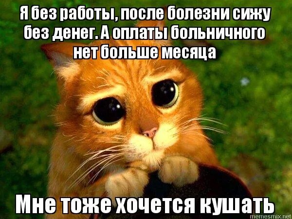 первый рабочий день после больничного. выход с больничного на работу. больничный. выход с больничного на работу. с выходом с больничного.
