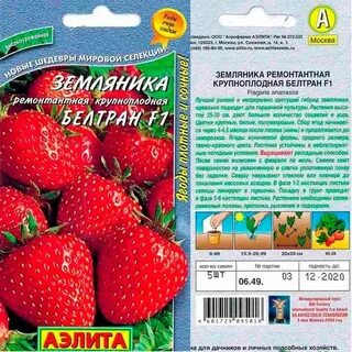 Клубника белтран отзывы