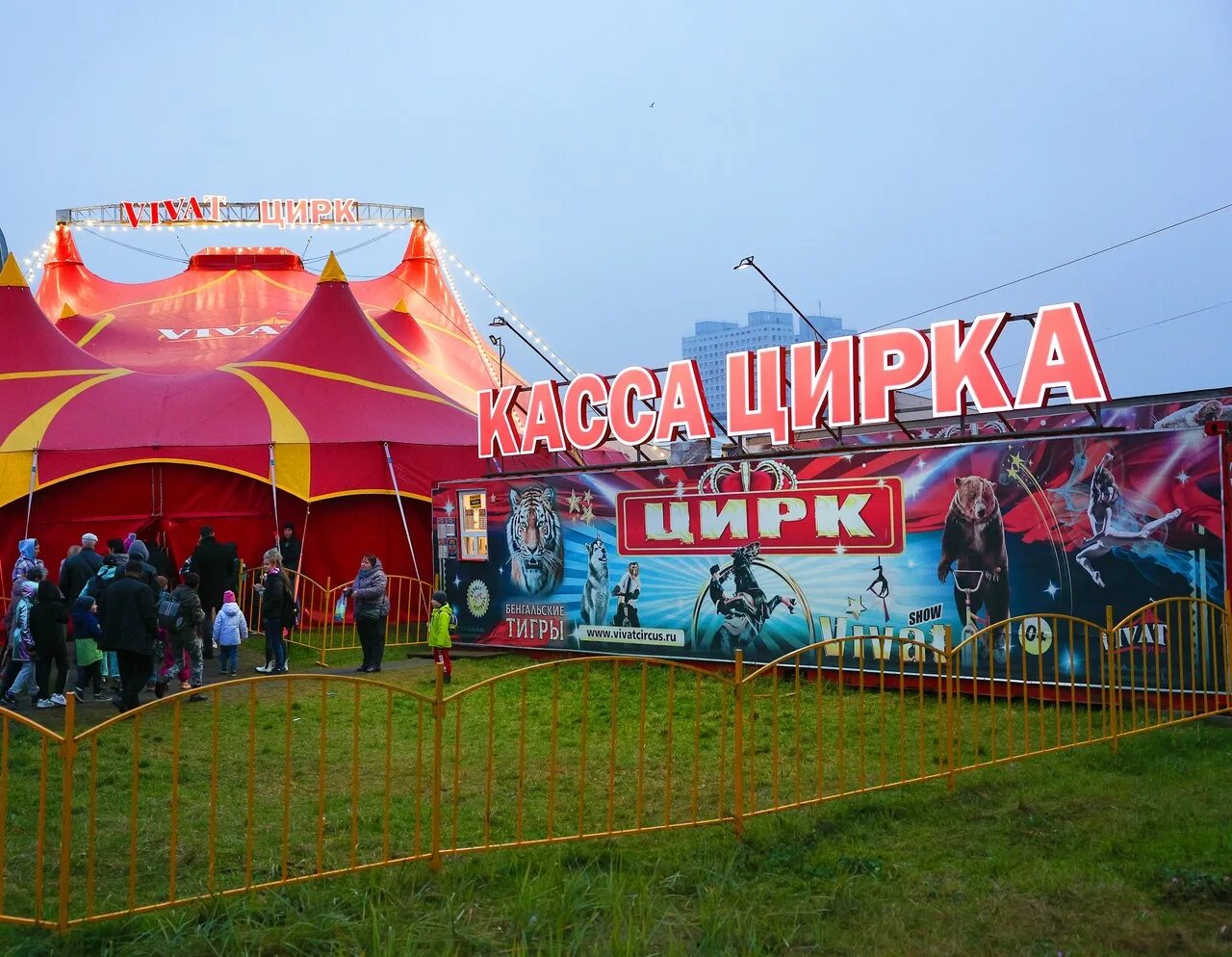 Цирк Виват. Цирк шапито. Цирк Виват Калининград. Цирк Виват Калининград 2023. Цирк виват купить