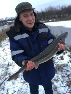 Погода зорино обоянский курская область