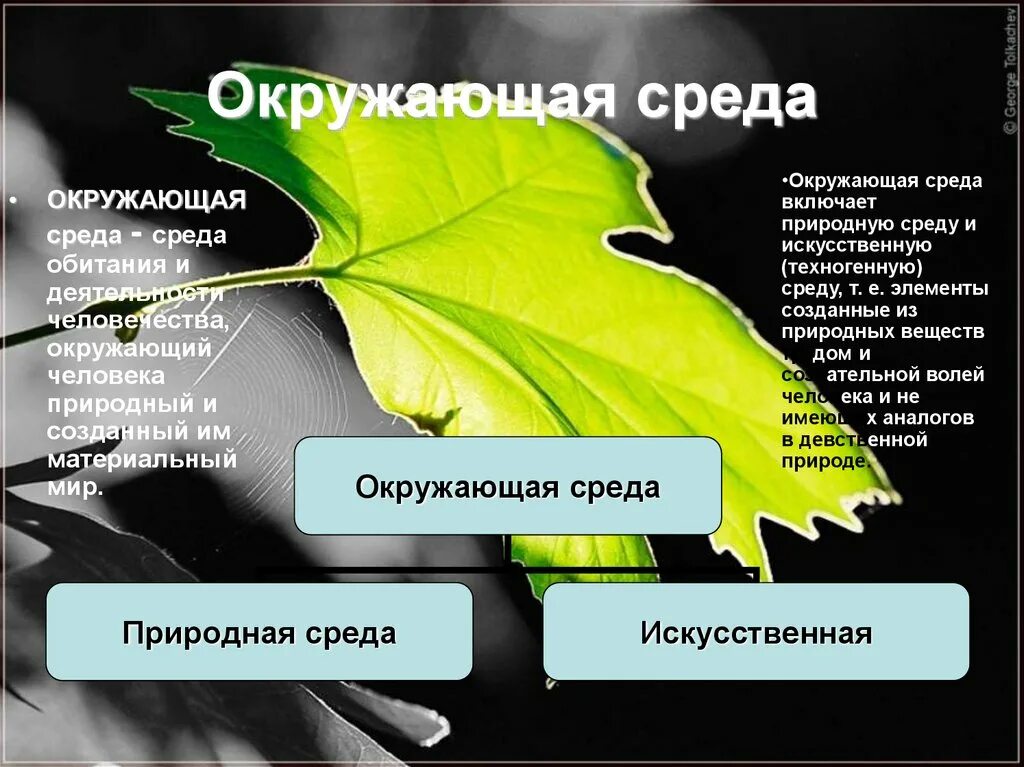 Общество включает в себя весь окружающий человека. Окружающая среда презентация. Презентация на тему окружающая среда. Окружающая среда искусственная и естественная. Окружающая среда и среда обитания.