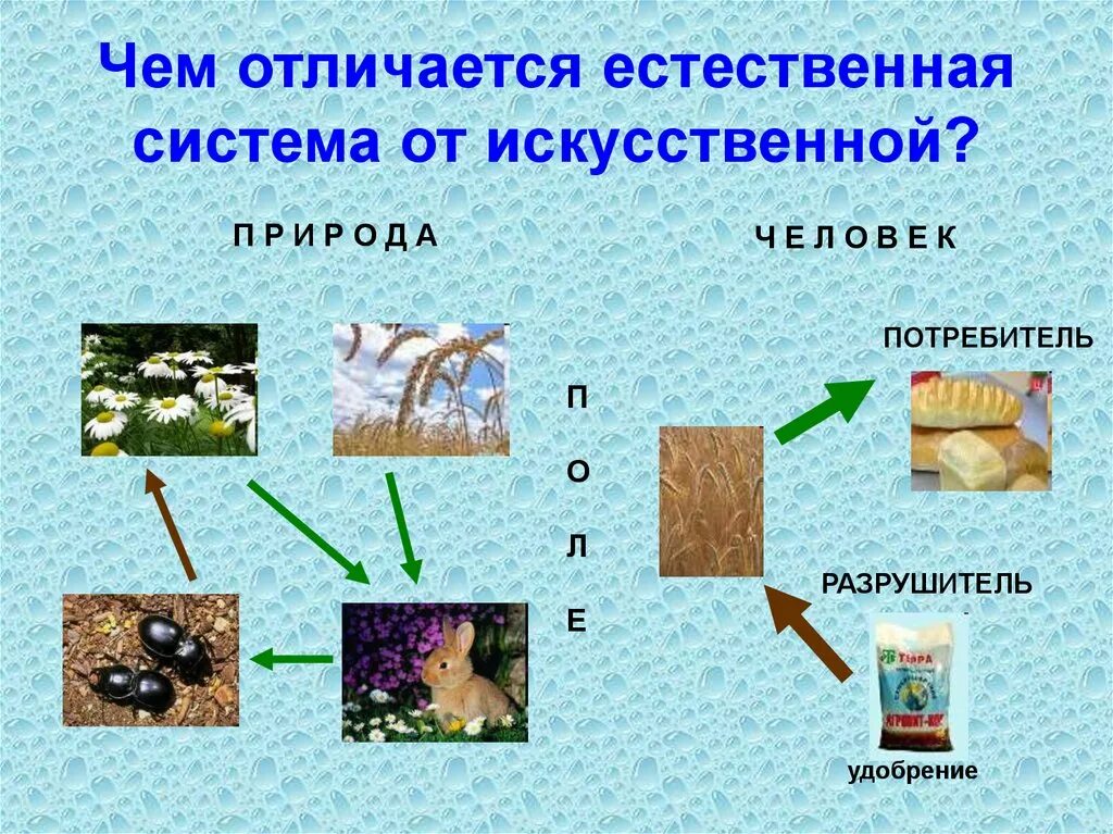 Естественное изменение. Естественная и искусственная природа. Естественные и искусственные изменения. Изменения Естественные и искусственные МДО. Чем естественная система отличается от искусственной.