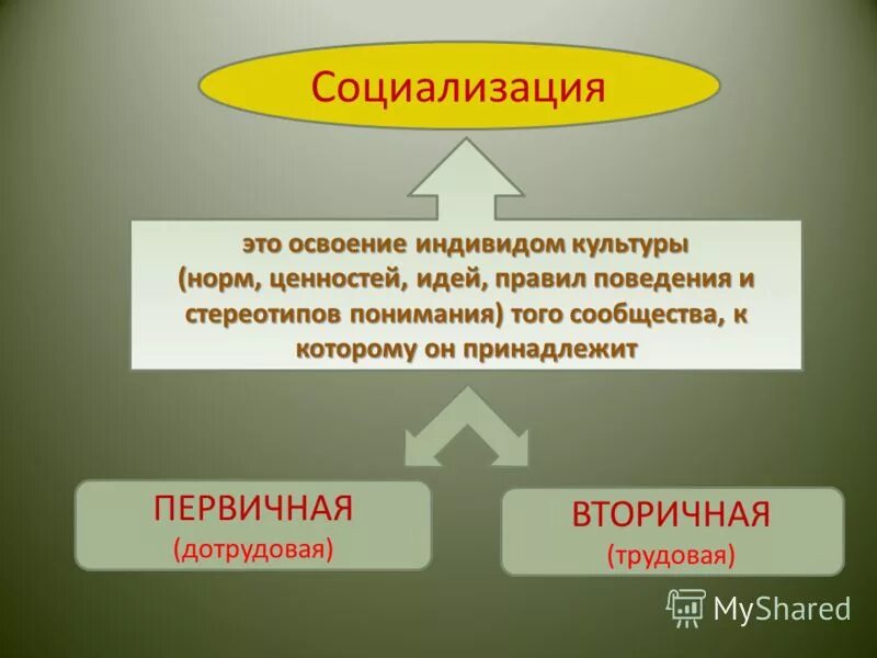 Ценности для индивида это. Социализация индивид индивидуальность личность. Социализация это освоение индивидом. Человек. Индивид. Личность. Индивидуальность. Социализация личности.. Нормы социализации.