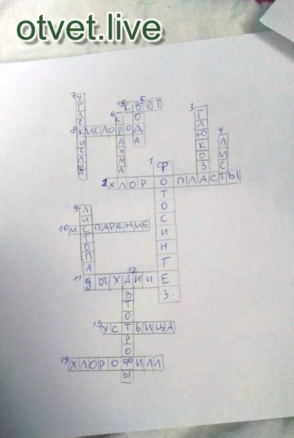 Кроссворд фотосинтез 6 класс с ответами. Кроссворд на тему фотосинтез и дыхание. Кроссворд на тему дыхание фотосинтез испарение. Кроссворд по биологии фотосинтез и дыхание. Кроссворд на тему фотосинтез и дыхание растений.