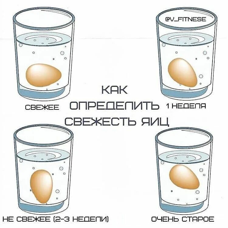Как определить испортилось ли. Свежесть яиц. как определить свежесть яйца. свежее яйцо. свежесть яиц в воде.