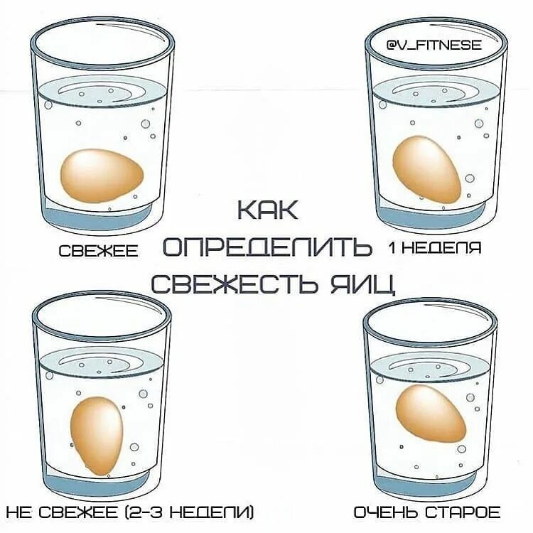 Почему всплывает сырое яйцо в холодной. Свежесть яиц. Как определить свежесть яйца. Свежее яйцо. Свежесть яиц в воде.