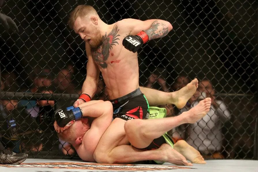 Клетка мма. Что такое бои без. Ufc 141: lesnar vs. Что такое бои без. Что такое бои без.