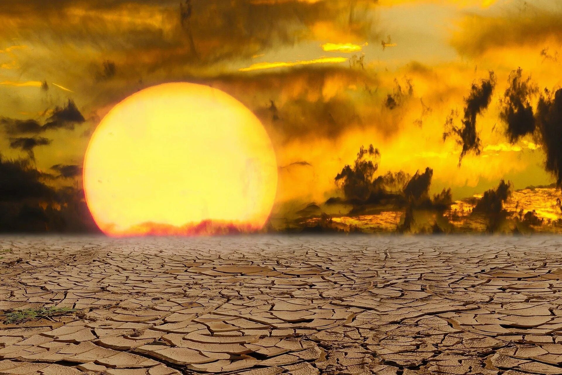 Солнце сильно палит. Палящее солнце в пустыне. Пустыня солнце жара. Раскаленная пустыня. Жара в пустыне.