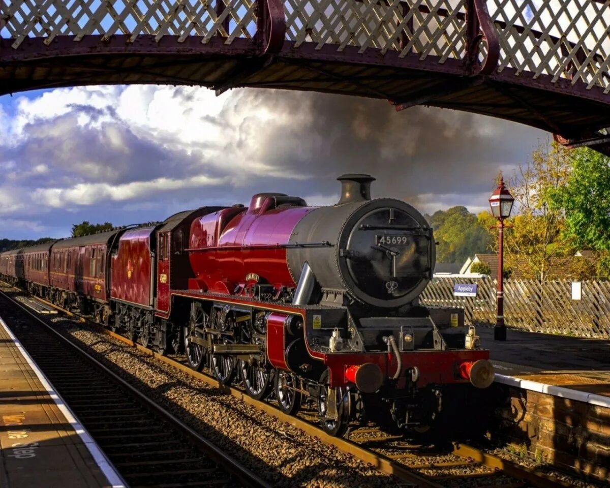 Train