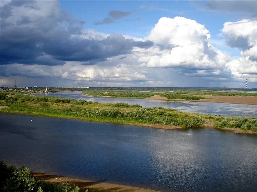 Река Печора. Дельта реки Печора. Река Печора с городом Печора. Город Печора Республика Коми. Река печора республика коми