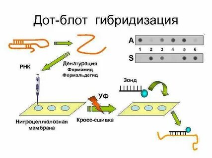 Формальдегид гибридизация
