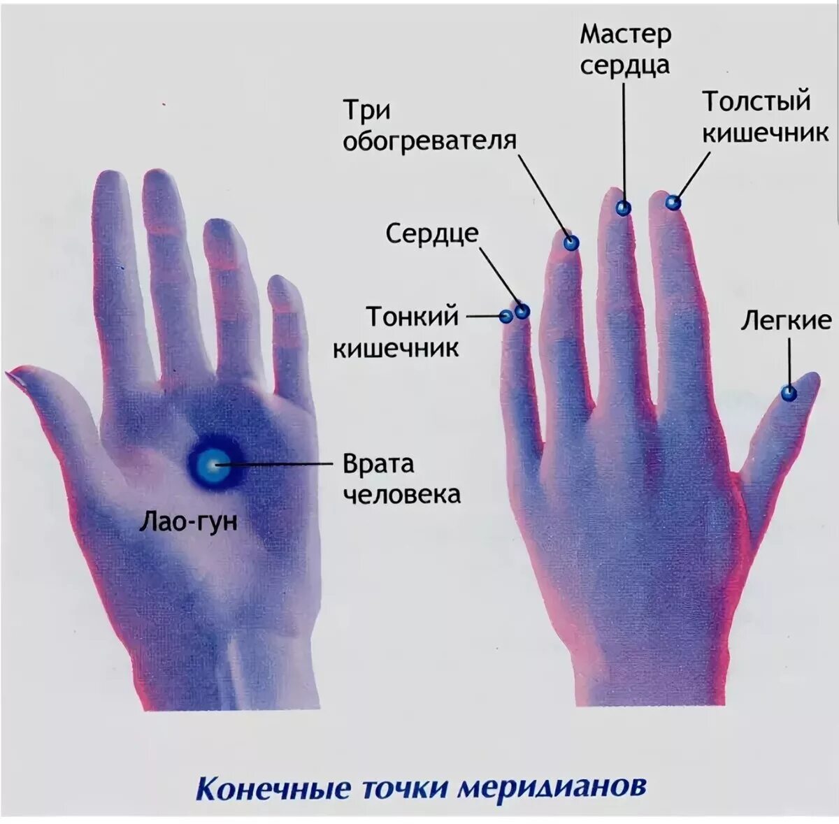 энергии левой руки. энергии левой руки. энергетические руки. энергии левой руки. энергии левой руки.