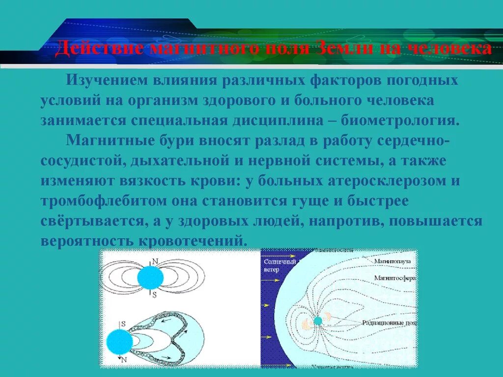 Действие магнитного поля на живые организмы. Влияние магнитного поля земли. Изучение магнитного поля земли. Влияние магнитного поля земли на человека. Влияние электромагнитного поля земли на человека.